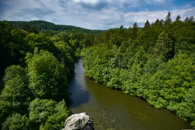 Waldlanschaft und Fluss