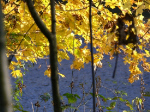 Isar-Radweg