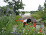 Oderbruch