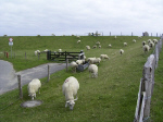 Ostseeküsten Radweg