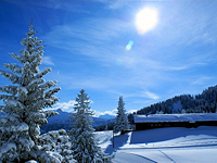 Winterlandschaft Bayerische Alpen