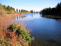 Eschacher Weiher bei Buchenberg