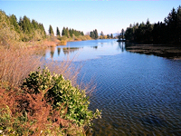 Eschacher Weiher bei Buchenberg