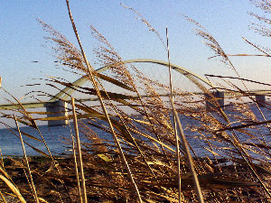 Ostseeküsten Radweg