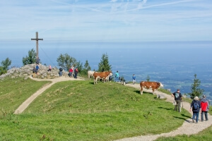 Wandern im Chiemgau Wandern im Chiemgau