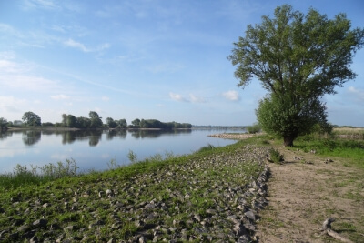 Elbtalaue Flusslandschaft