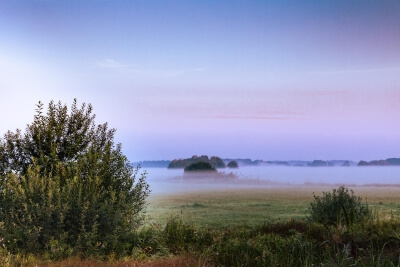 Morgennebel bei Gartow am See