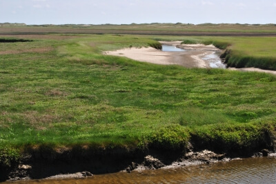 Nordstrand Salzwisen