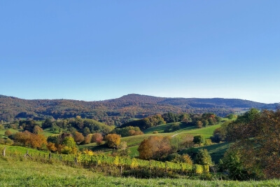 Ferienregion Odenwald