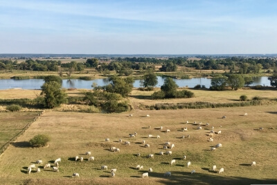 Oderbruch bei Lebus