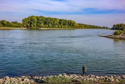 Pfälzer Rheinebene