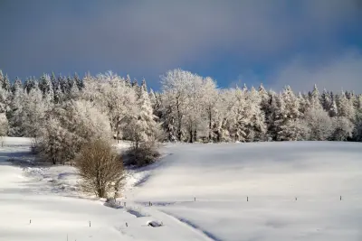 Die Hochrhön im Winter