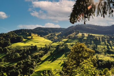 Hochschwarzwald bei Todtnau