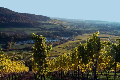 Handtal im Steigerwald im Herbst